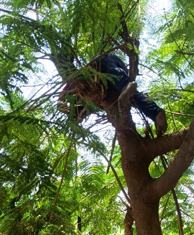 बिजली का करंट लगने से युवक की मौत, दुकान पर पेड़ की डालियां काटते समय हुआ हादसा