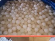 गंदगी से भरे कमरे में बन रहे थे रसगुल्ले: नोएडा में खाद्य सुरक्षा विभाग ने मारा छापा, 3 क्विंटल खराब मिठाई नष्ट कराई