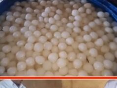 गंदगी से भरे कमरे में बन रहे थे रसगुल्ले: नोएडा में खाद्य सुरक्षा विभाग ने मारा छापा, 3 क्विंटल खराब मिठाई नष्ट कराई