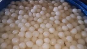 गंदगी से भरे कमरे में बन रहे थे रसगुल्ले: नोएडा में खाद्य सुरक्षा विभाग ने मारा छापा, 3 क्विंटल खराब मिठाई नष्ट कराई