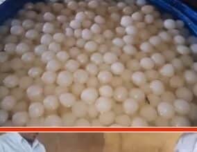 गंदगी से भरे कमरे में बन रहे थे रसगुल्ले: नोएडा में खाद्य सुरक्षा विभाग ने मारा छापा, 3 क्विंटल खराब मिठाई नष्ट कराई