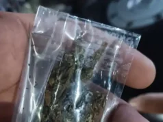 सूरत में सरथाणा ब्रिज के नीचे शराब, गांजा और जुए का खुला कारोबार