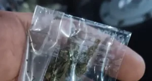 सूरत में सरथाणा ब्रिज के नीचे शराब, गांजा और जुए का खुला कारोबार