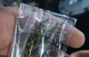 सूरत में सरथाणा ब्रिज के नीचे शराब, गांजा और जुए का खुला कारोबार