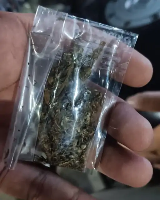 सूरत में सरथाणा ब्रिज के नीचे शराब, गांजा और जुए का खुला कारोबार